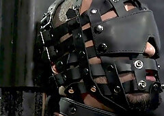 Obeying Tormentor Winwin