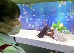 0005692_JAV_JapaneseAV_Censored_MGS_19min