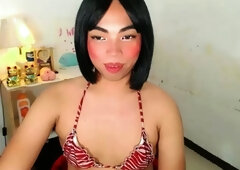 Solo webcam tranny masturbation