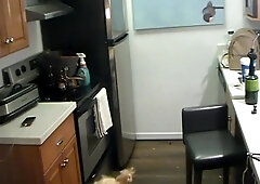 Babe Gets Arrested And Used By Dirty Cop 25 Min