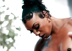 Breathe In, Stretched Out / TransAngels